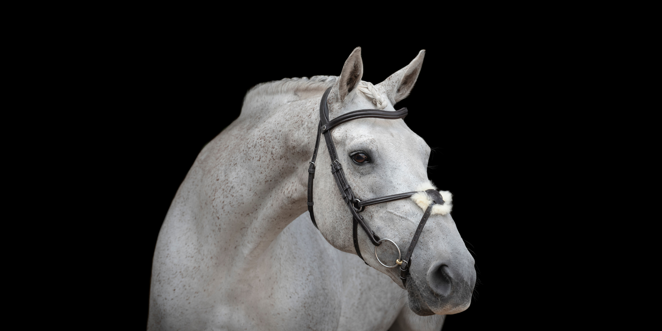 Build Your Own Bridle