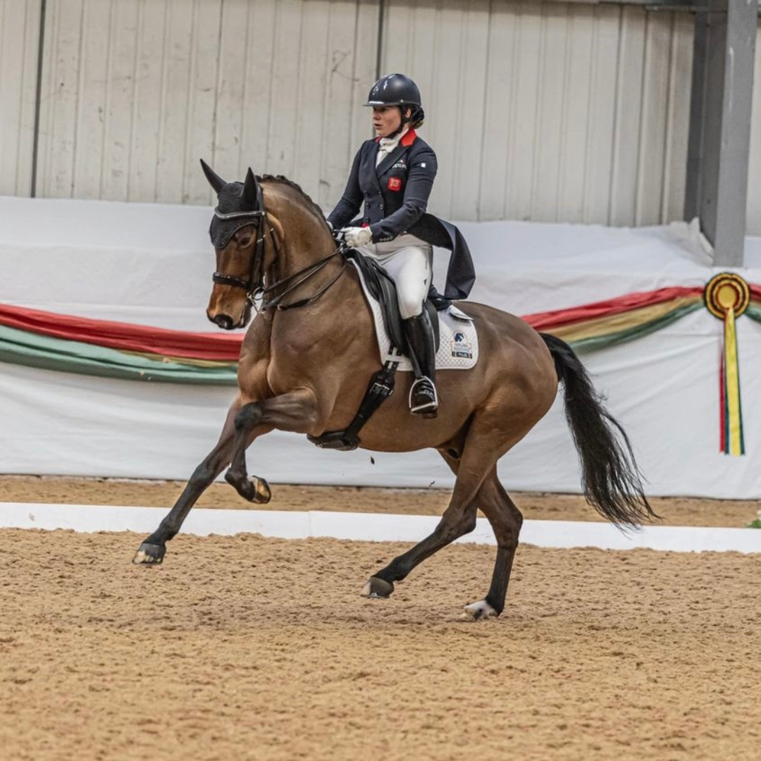 Bobby Hayler - International Dressage Rider