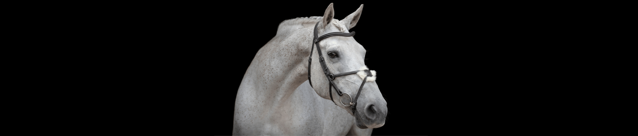 Build Your Own Bridle