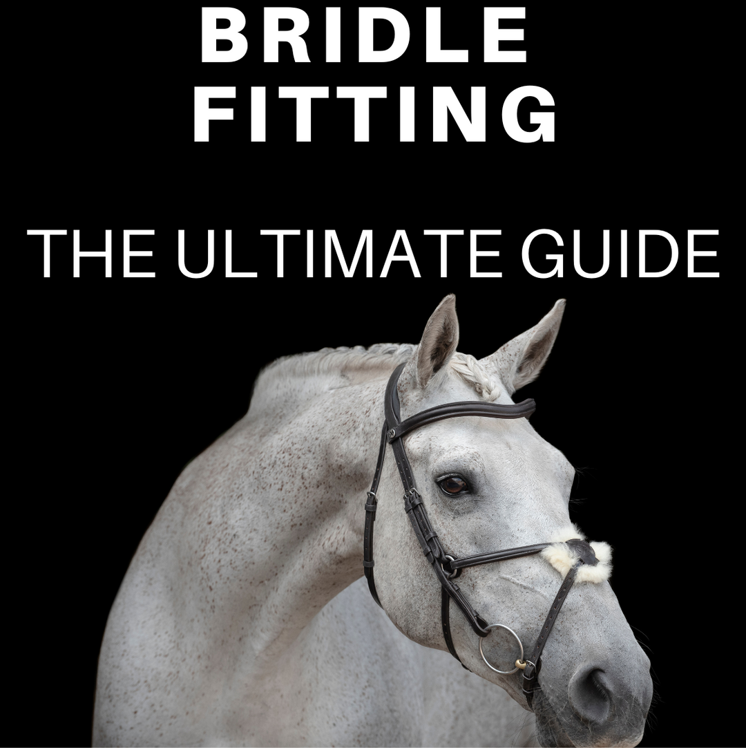 Bridle Fitting eBook