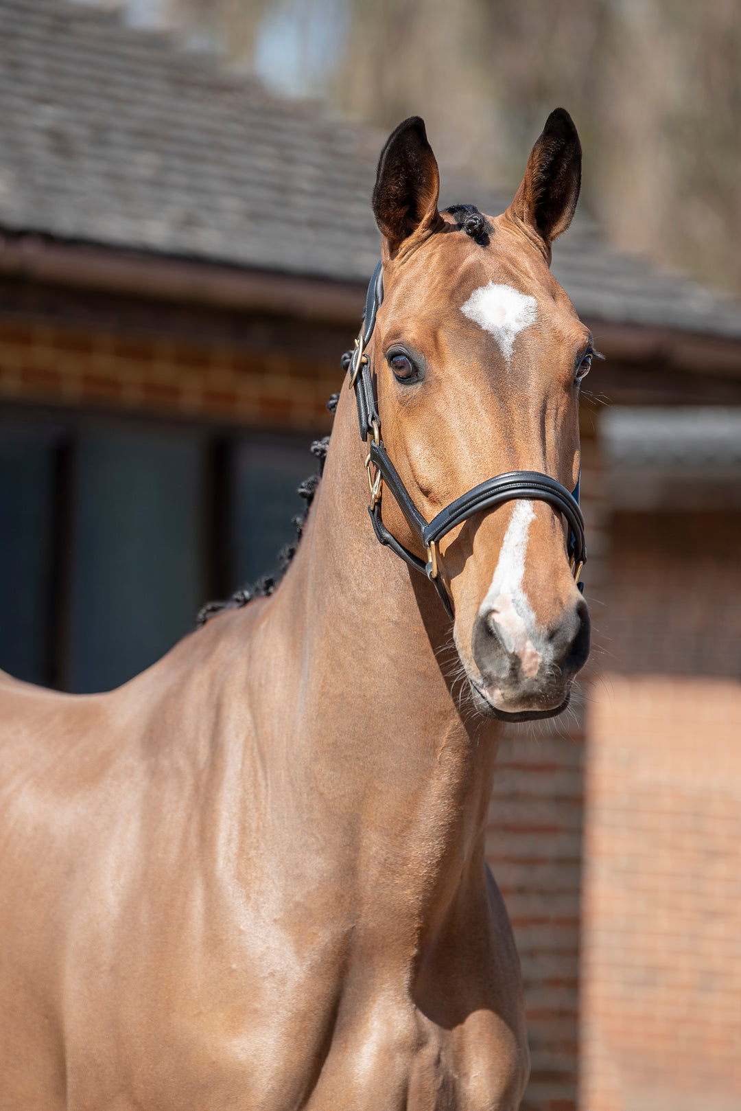 Comfort 3D Air Headcollar