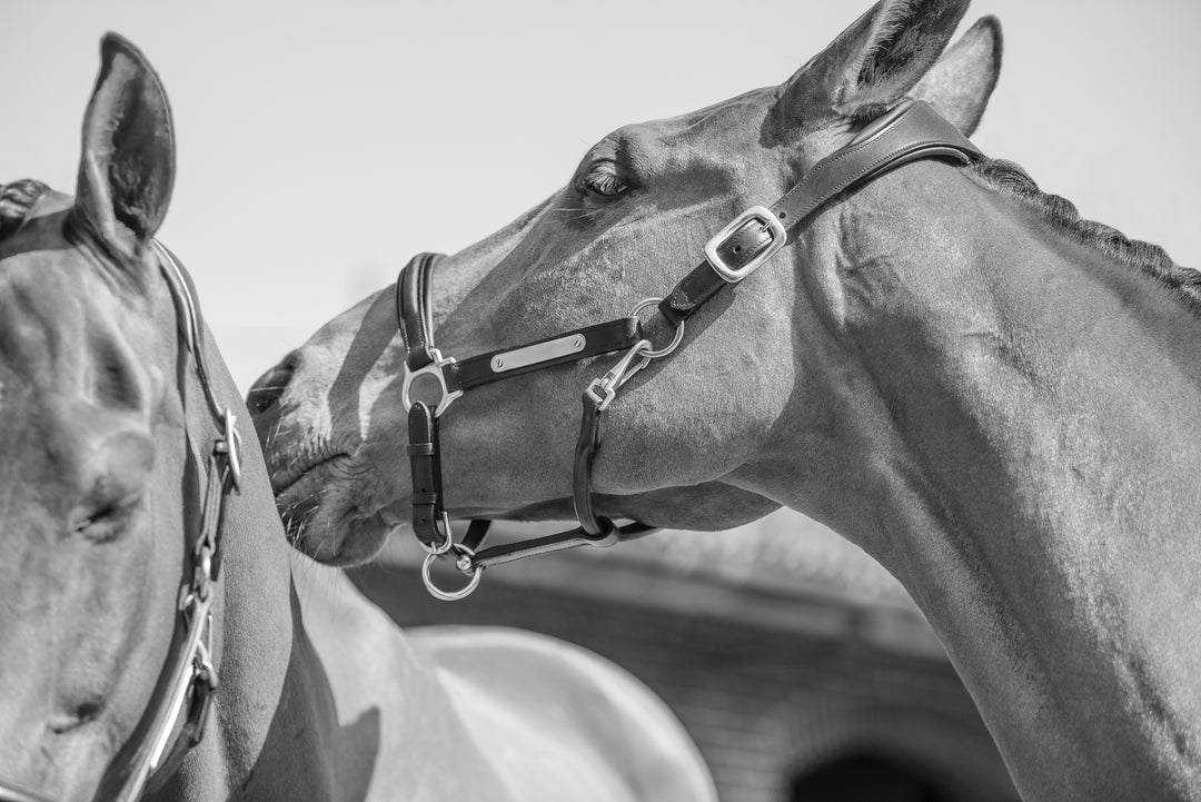 Comfort 3D Air Headcollar